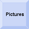 Pictures