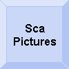 SCA